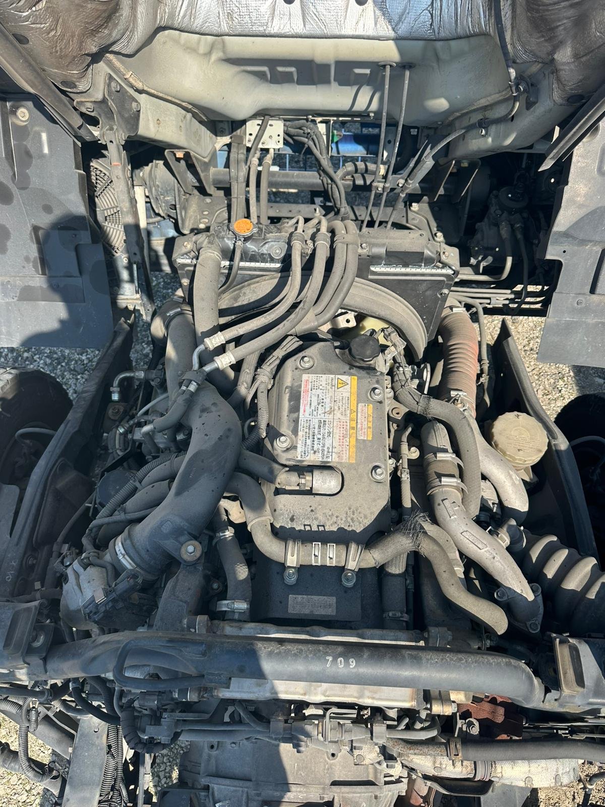 
								Isuzu Forward full									